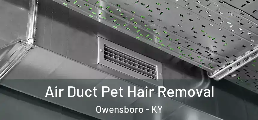  Air Duct Pet Hair Removal Owensboro - KY