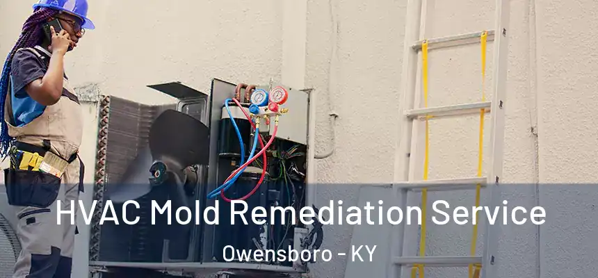  HVAC Mold Remediation Service Owensboro - KY