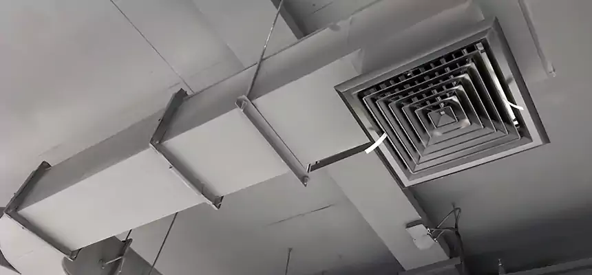 Restorative Allergy Relief Vent Cleaning – Coil, Blower & Housing Detail in Owensboro