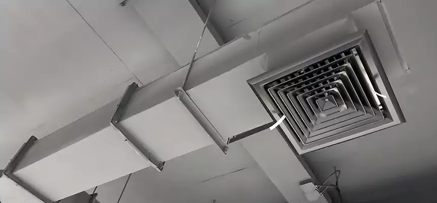 Our Rodent Droppings In Vents Services in Owensboro, KY