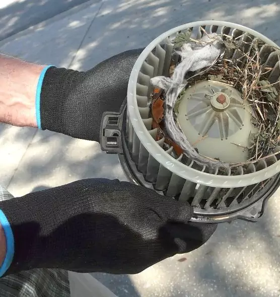 About Air Duct Rat Removal in Owensboro, KY