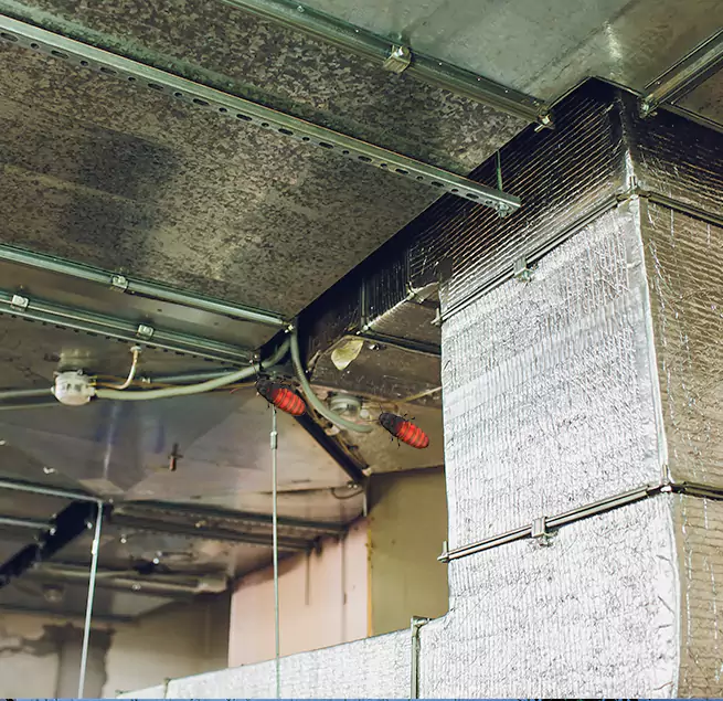 Why Homeowners & Businesses Trust Us in Owensboro, KY?