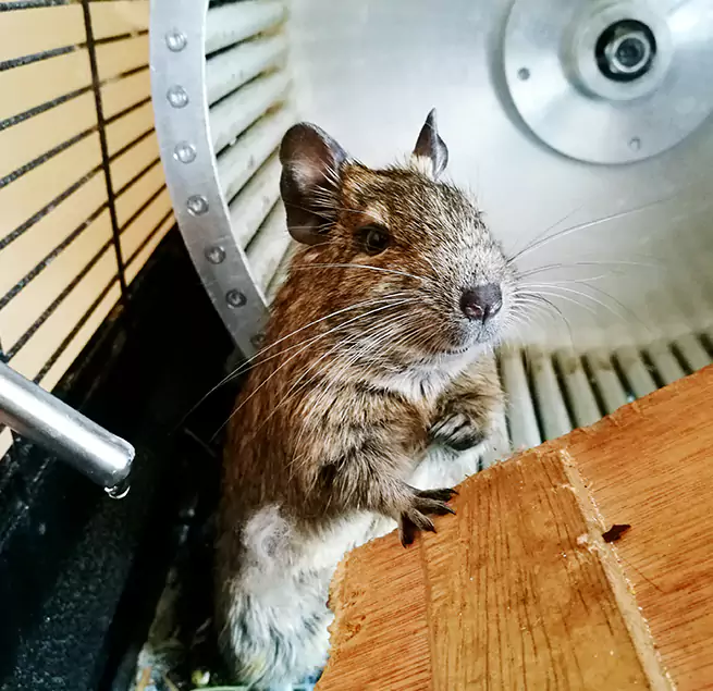 Why Homeowners & Businesses Trust Us Owensboro, KY?