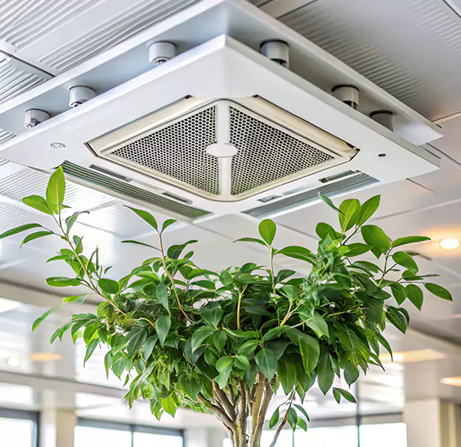 Why Homeowners & Businesses Trust Us in Owensboro, KY