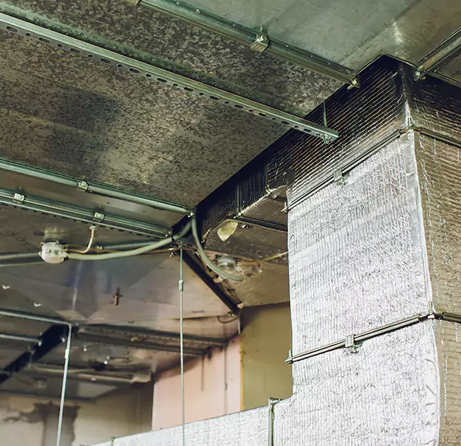 Why Homeowners & Businesses Trust Us in Owensboro, KY?